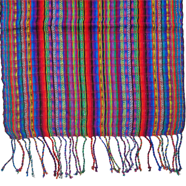 Picture of mardi gras scarf