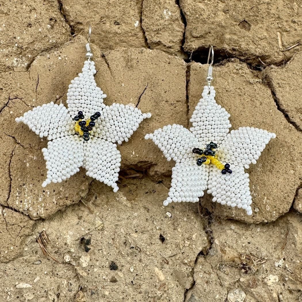 Picture of beaded jasmine earrings