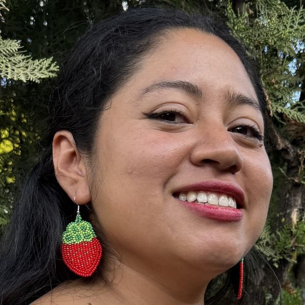 Picture of beaded strawberry earrings