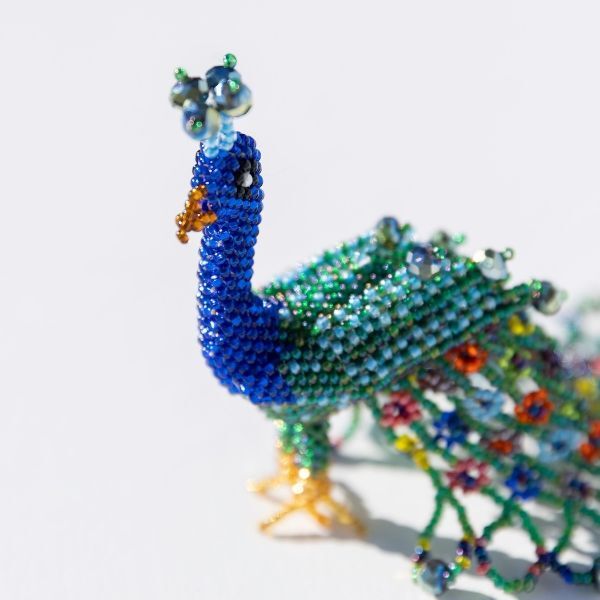 Picture of pretty peacock